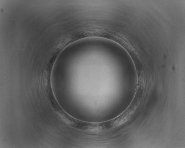 X0000051250458200506241551