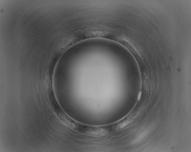 X0000051250459200506241551