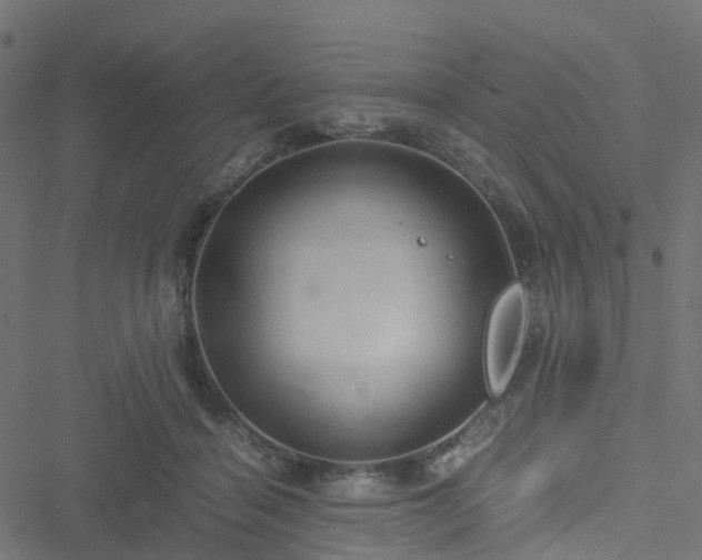 X0000051250460200506241551