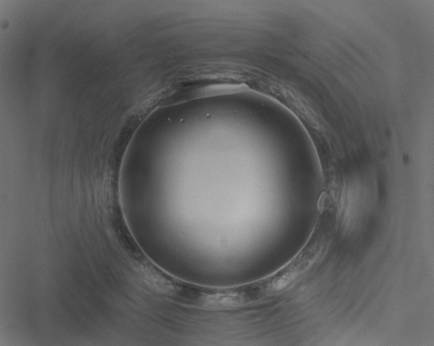 X0000051250461200506241551