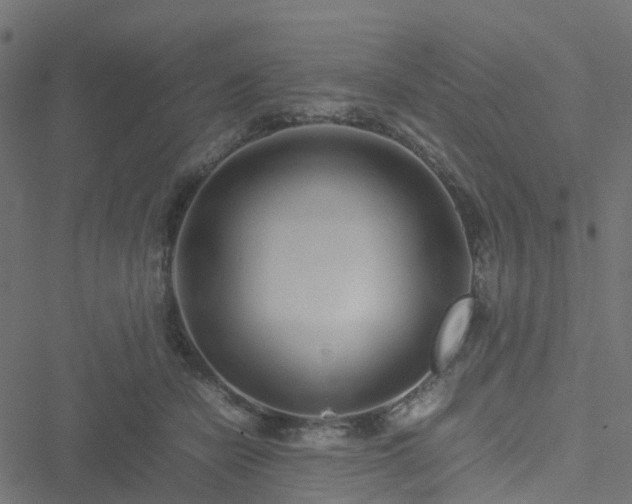 X0000051250462200506241551