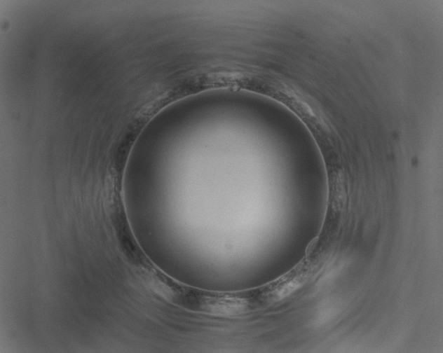 X0000051250463200506241551