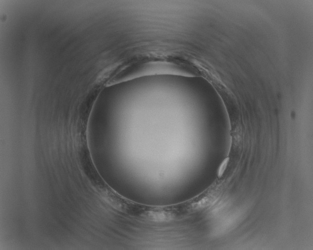 X0000051250464200506241551