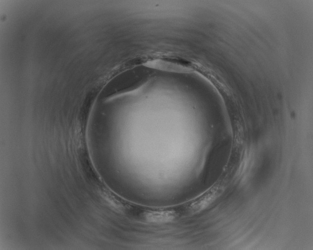 X0000051250465200506241551