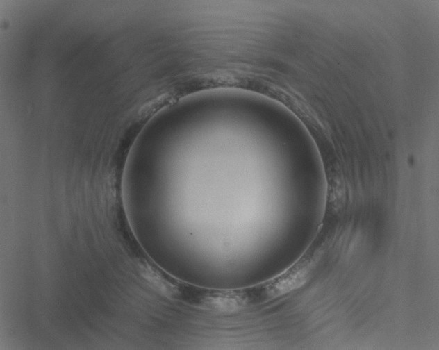 X0000051250466200506241551