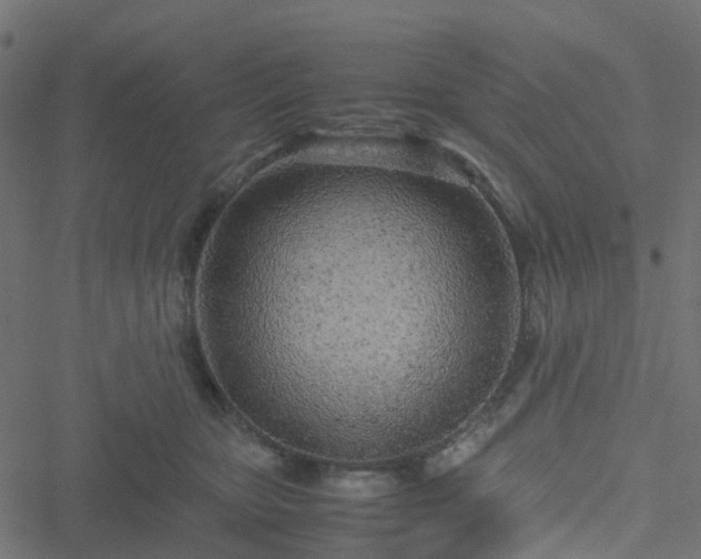 X0000051250467200506241551