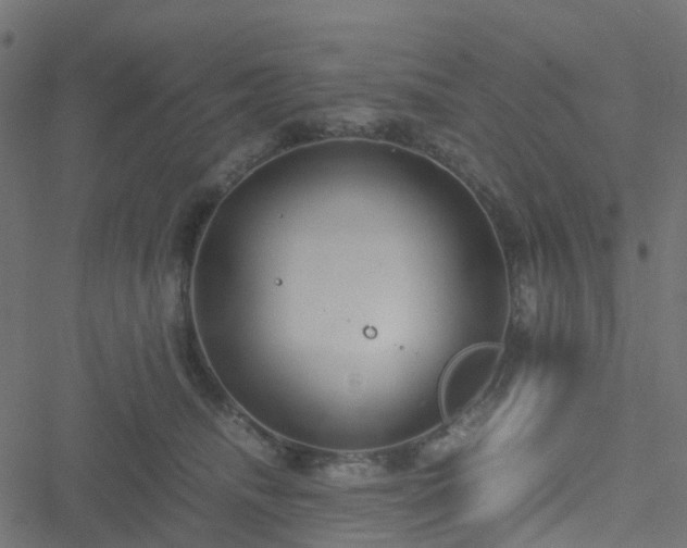 X0000051250468200506241551