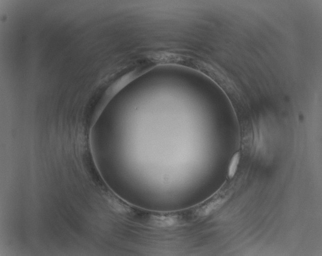 X0000051250469200506241551