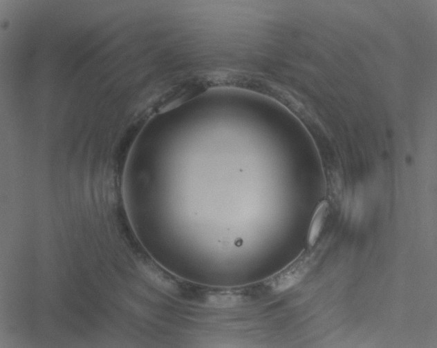 X0000051250470200506241551