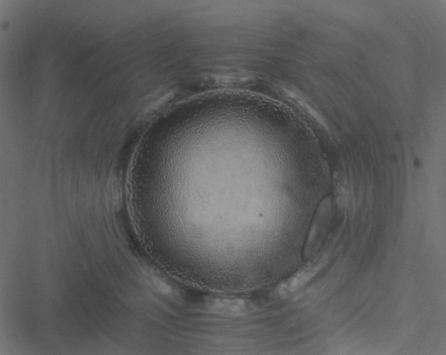 X0000051250471200506241551