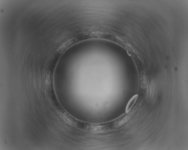 X0000051250472200506241551