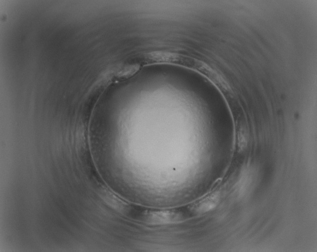 X0000051250473200506241551