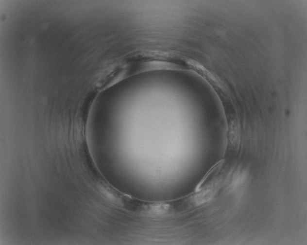 X0000051250474200506241551