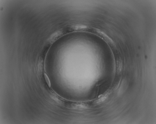 X0000051250475200506241551