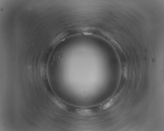 X0000051250476200506241551