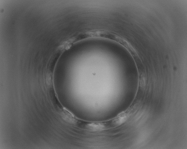 X0000051250477200506241551