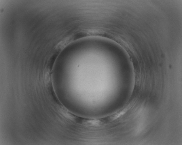 X0000051250478200506241551