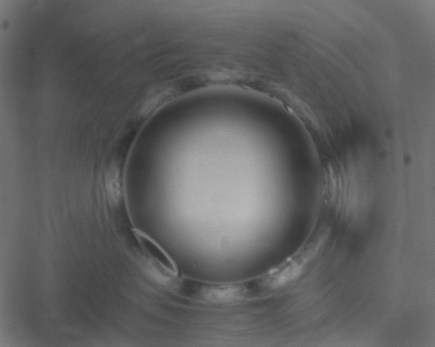 X0000051250479200506241551