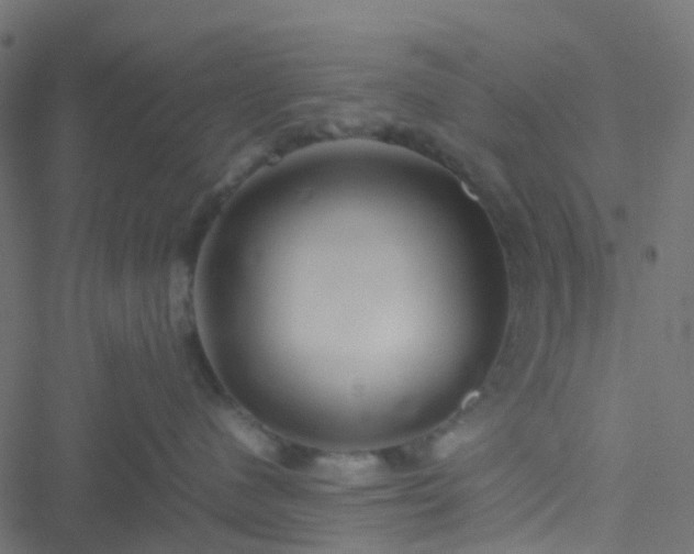 X0000051250480200506241551