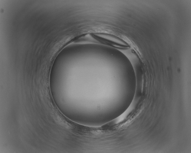 X0000051250481200506241550