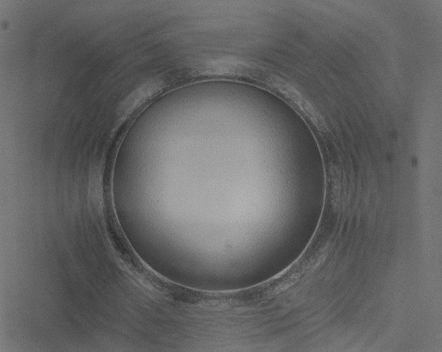 X0000051250482200506241550