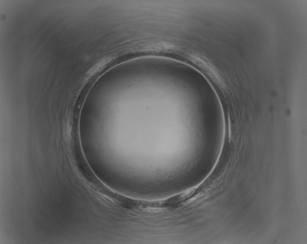 X0000051250483200506241550