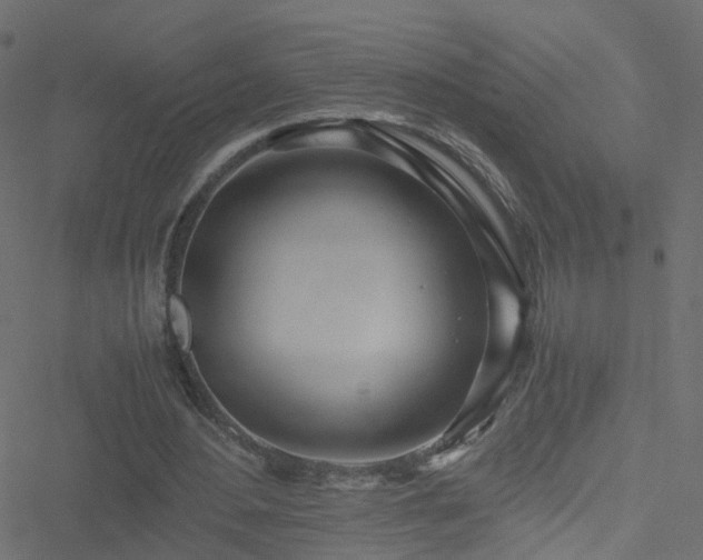 X0000051250484200506241550