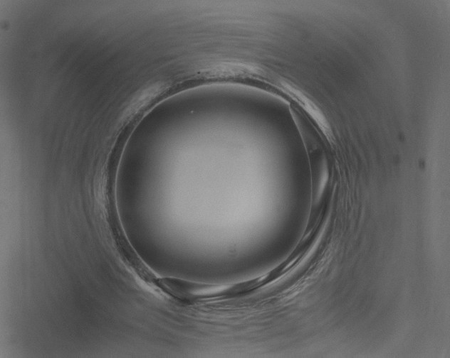 X0000051250485200506241550