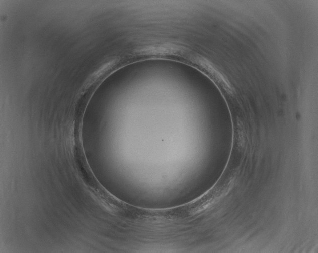 X0000051250486200506241550