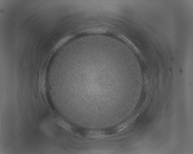 X0000051250487200506241550