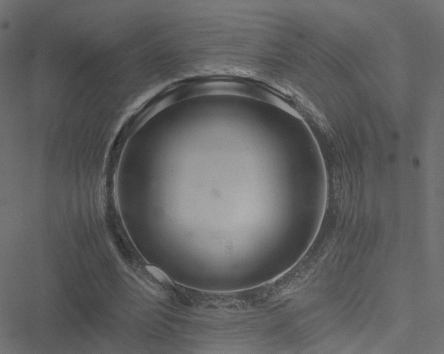 X0000051250488200506241550