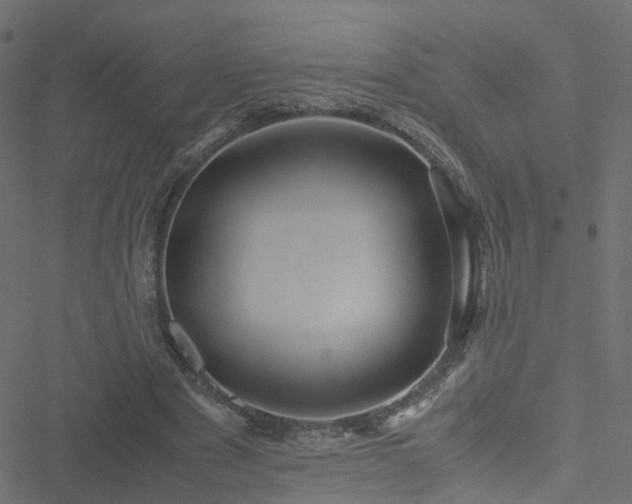 X0000051250489200506241550