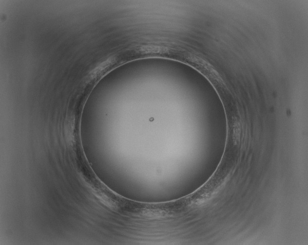 X0000051250490200506241550