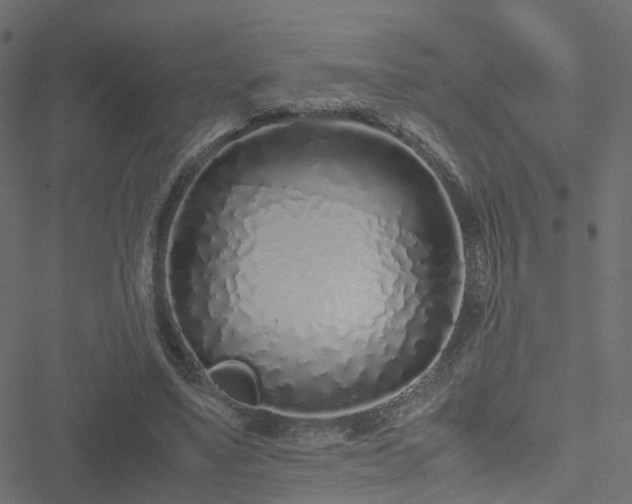 X0000051250491200506241550