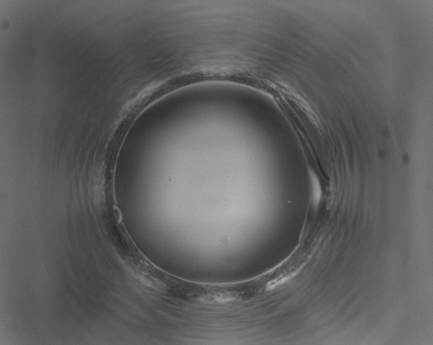 X0000051250492200506241550