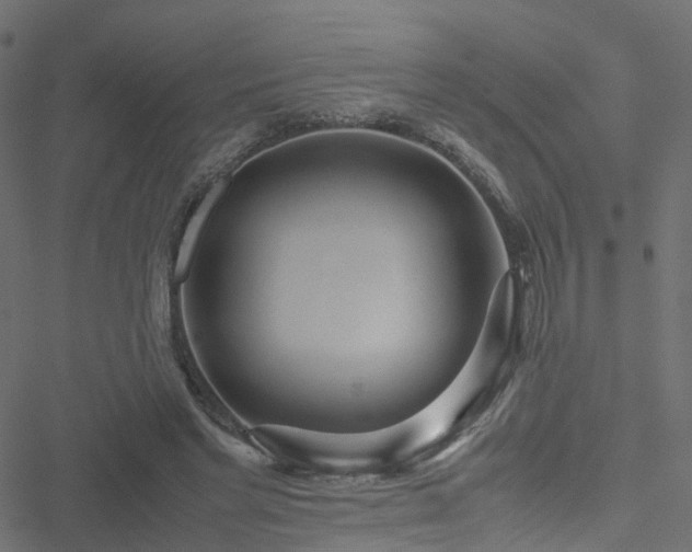 X0000051250493200506241550