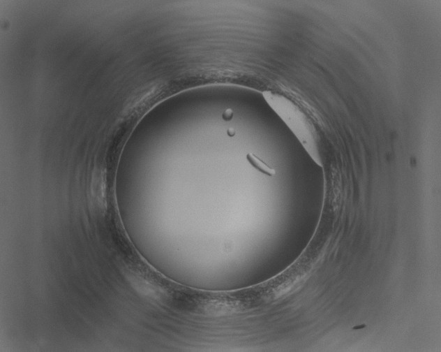 X0000051250494200506241550