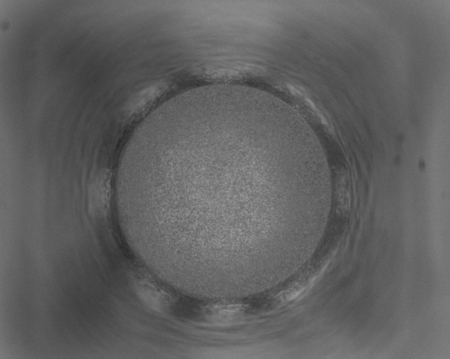 X0000051250495200506241550