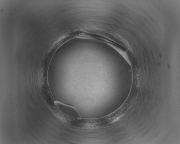 X0000051250496200506241550