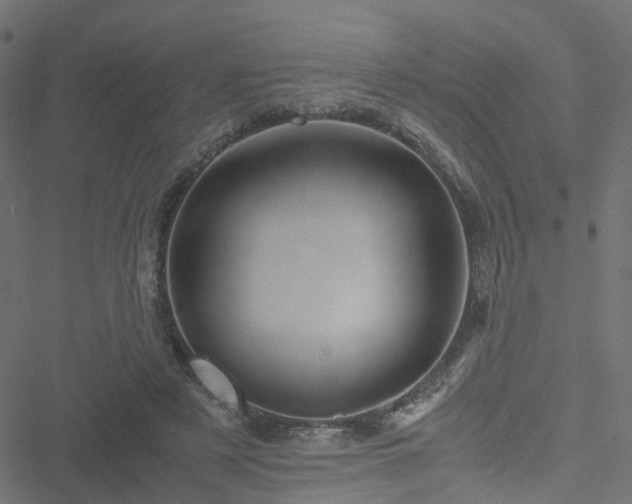 X0000051250497200506241550