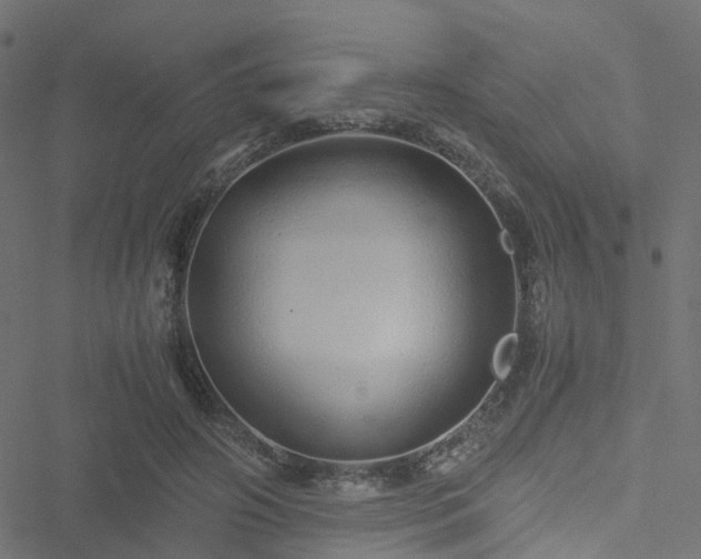 X0000051250498200506241550