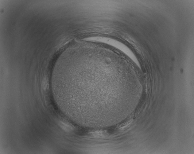 X0000051250499200506241550