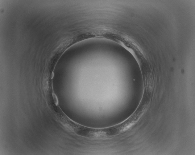 X0000051250501200506241550