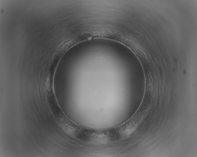 X0000051250502200506241550