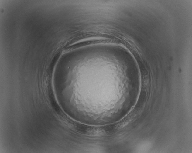 X0000051250503200506241550