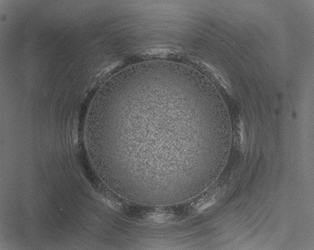 X0000051250504200506241550