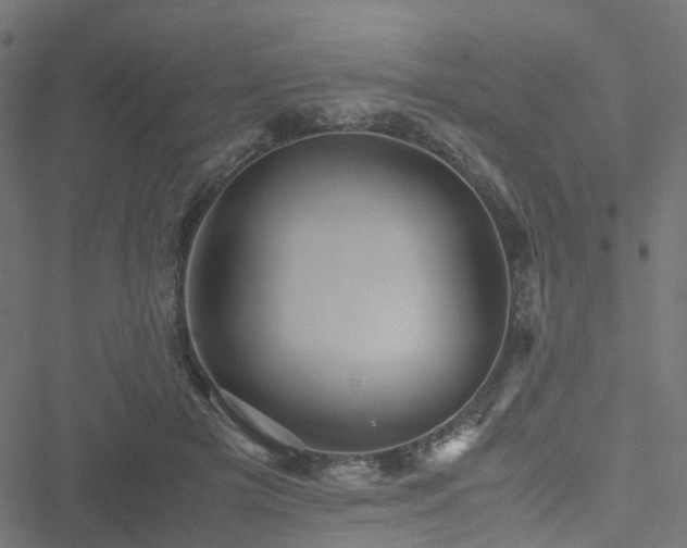 X0000051250505200506241550