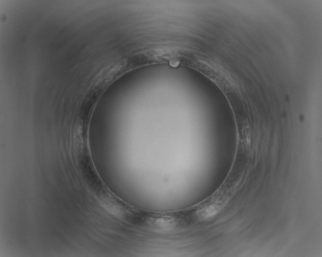 X0000051250506200506241550