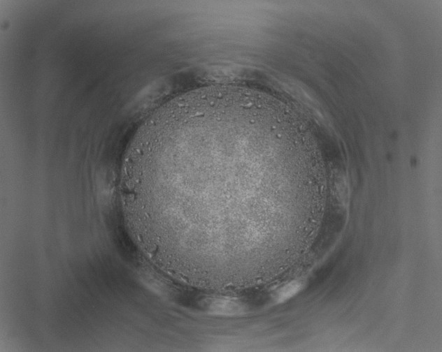 X0000051250507200506241550