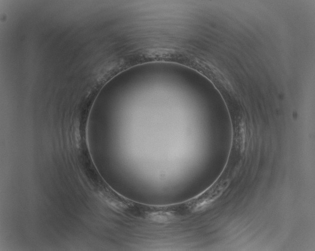 X0000051250508200506241550